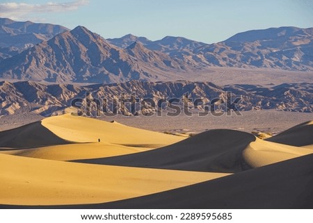Sunny view of the beautiful Mesquite Flat Dunes at Stovepipe Wells, Death Valley National Park Royalty-Free Stock Photo #2289595685