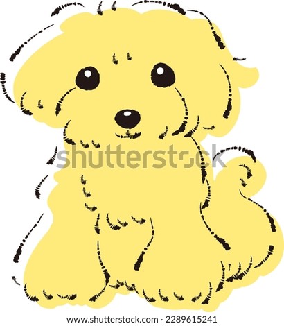 Simple and cute toy poodle hand-drawn line drawing vector illustration