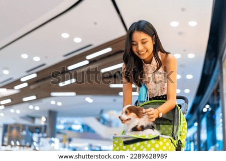 Asian woman push her chihuahua dog in pet stroller walking in pets friendly shopping mall. Domestic dog and owner enjoy outdoor lifestyle travel city on summer vacation. Pet Humanization concept.