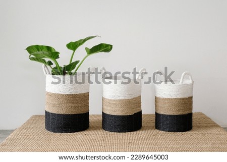 Black White and Natural Color Basket, Small Tree Pot, Natural Fiber and Recycle Plastic, Cozy Living, Holiday Home, Boutique Hotel Interior Decoration Royalty-Free Stock Photo #2289645003