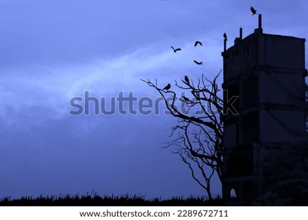 Silhouette of abandoned building and leafless tree with flock of crows in full moon atmosphere.