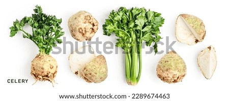 Fresh green celery and celery root with leaves set isolated on white background. Healthy eating and dieting food concept. Design element. Top view, flat lay
 Royalty-Free Stock Photo #2289674463