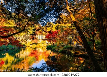 Autumn Colours at a lake near Narita