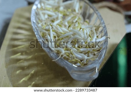 
Bean sprouts are green beans that are just growing, widely used as a vegetable ingredient