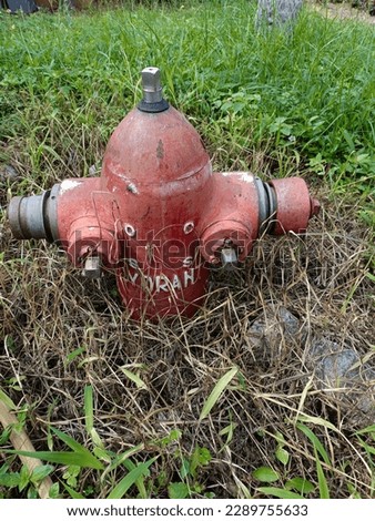 fire hydrant in the middle of the grass