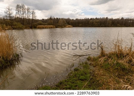 Nature pond  in winter without snow