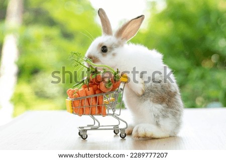 Lovely bunny easter fluffy baby white rabbit love to eat carrot is holding shopping cart full of green vegetable, carrots, on nature background. Delicious healthy green good food. Healthy lifestyle.