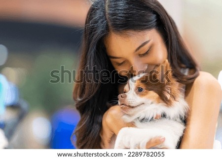 Asian woman playing with her chihuahua dog in cafe at pets friendly shopping mall. Domestic dog and owner have fun outdoor lifestyle travel city on summer holiday vacation. Pet Humanization concept.