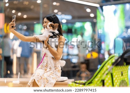 Asian woman using mobile phone taking selfie with her chihuahua dog at pets friendly shopping mall. Domestic dog with owner enjoy urban outdoor lifestyle on summer vacation. Pet Humanization concept.
