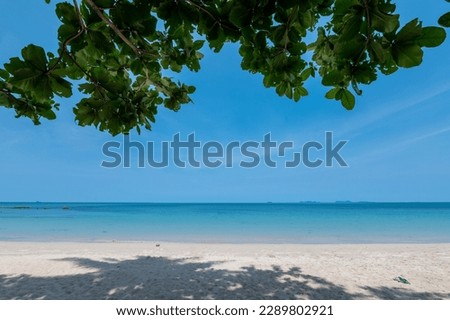 Sand beach with blue sea and sky with leaves at Lanta island, Krabi, Thailand