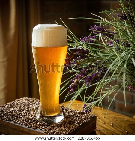 Beer photos. Glasses of light and dark beer on a pub background. Beer picture for restaurant menu
