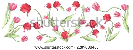 Watercolor floral illustration set, pink, red flowers, tulips, green leaf branches collection, for wedding stationary, greetings, wallpapers, fashion, background.
