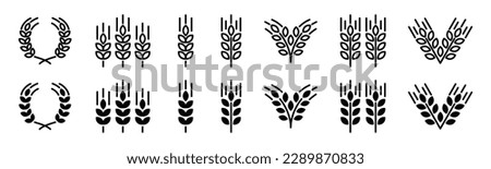 Wheat ear icon vector set. Grain icons collection in line and flat style. Wheat icon on white background. Cereals grain, agriculture, rice stalk, bread, food, harvest symbol. Vector illustration Royalty-Free Stock Photo #2289870833
