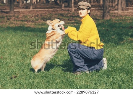 Portrait of a caucasian woman in yellow sweater and checkered cap with corgi dog in a parkCorgi dog kissing his owner High quality photo