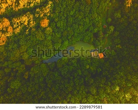 Amazing River New picture over the jungle.