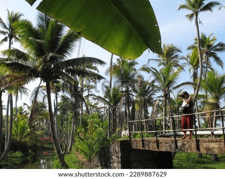 a woman standing on a small bridge in the middle of nature taking a picture of the landscape of green vegetation surrounded by many coconut trees