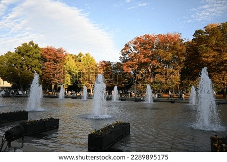 Fountain and trees with red leaves