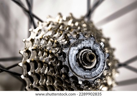 Different metal gear teeth on a rear hub bicycle wheel