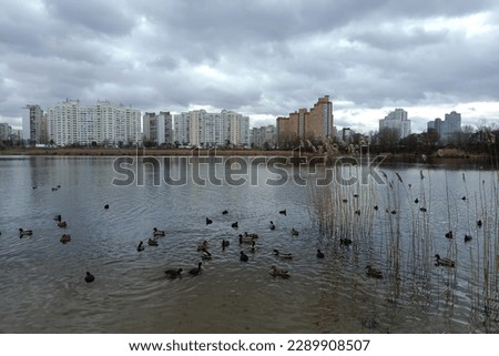 Multi-storey houses near the lake on a cloudy day. High-rise buildings against the background of gray clouds and a pond with ducks. Wild ducks in the lake in autumn panoramic view.