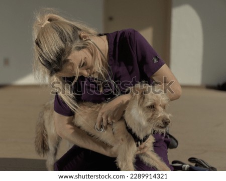 A young female veterinary technician is demonstrating a canine restraint technique. Royalty-Free Stock Photo #2289914321