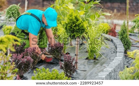 Professional Landscaper Taking Care of Ornamental Plants During Seasonal Garden Maintenance Visit. Royalty-Free Stock Photo #2289923457