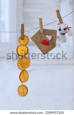 Dried slices of oranges, envelope, hearts, toy dog, background, background image for presentations, wallpaper, photo background, photos