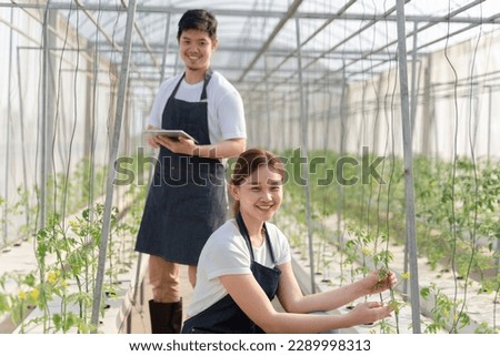 Many gardening couples work at plant nurseries and use clipboards while examining flowers. Happy multiethnic colleagues working in greenhouse and taking care of tomato plants