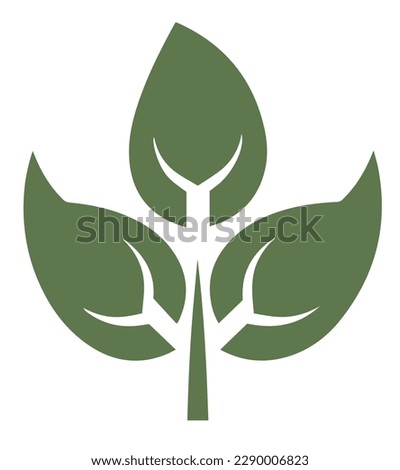 Green Leaf vector icon symbol nature