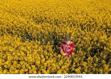 High angle view of female farmer examining rapeseed crops in bloom. Agronomist wearing red plaid shirt and trucker's hat is working on canola plantation on sunny spring day. Royalty-Free Stock Photo #2290013941