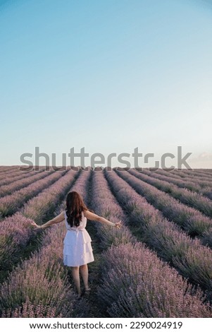 woman standing with her back in a field of lavender walk nature