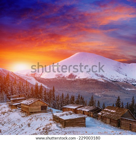 cottage in snowy mountains with fabulous winter trees 