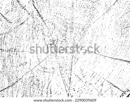 Vector grunge texture of maple cross section with cracks on monochrome sawn log background. Ideal for texture overlays, stencils, and adding a raw, organic feel to designs
