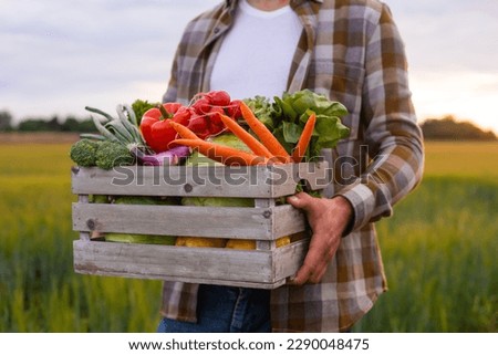 Farmer with a vegetable box in front of a sunset agricultural landscape. Man in a countryside field. Country life, food production, farming and country lifestyle concept. Royalty-Free Stock Photo #2290048475