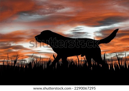 Drawing silhouette of dog on sunset background with clouds.