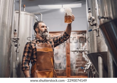 Bearded brewery master holding glass of beer and evaluating its visual characteristics. Small family business, production of craft beer. Royalty-Free Stock Photo #2290074149