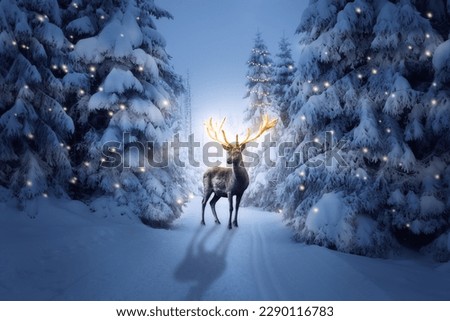 Large deer with golden antlers stands in a snow-covered forest