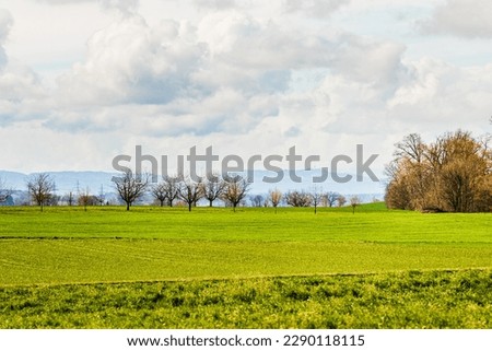 Switzerland countryside nature in spring 