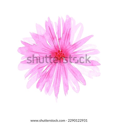 Pink abstract daisy. Hand drawn watercolor isolated on white background. Can be used for cards, patterns, label