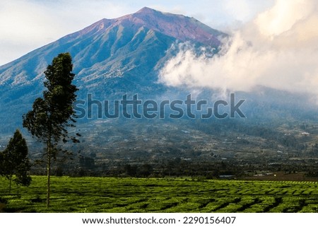 Mount Kerinci (Gunung Kerinci) is the highest mountain in Sumatra, the highest volcano and the highest peak in Indonesia with an altitude of 3805 masl, located in the Kerinci Seblat National Park area Royalty-Free Stock Photo #2290156407