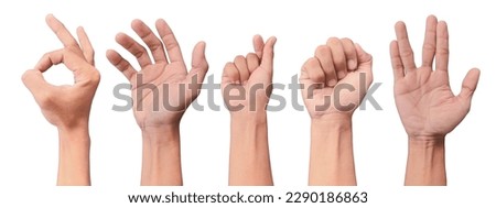 Set of young man hands isolated on white background. Hand isolated on white background 