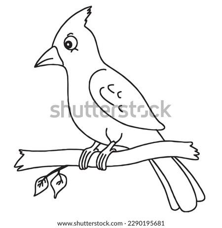 cute cartoon cardinal bird clipart page for kids. Vector illustration for children. Vector illustration of cardinal bird on white background.
 
