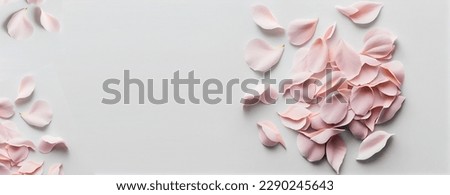 Flowers creative composition. Beautiful pastel pink ivory rose roses petal on white background. mock up. view, copy space. top. flat lay	
