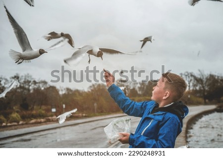 boy feeding seagulls on the sandy seashore. Kid boy is feeding a seagull from his hands. Seabird is approaching a hand of child. Tourist is in Poole park near the sea beach, Dorset UK. Royalty-Free Stock Photo #2290248931