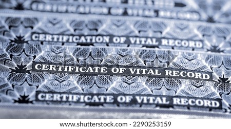 Several Certificate of Vital Records for Birth