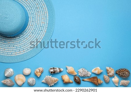 Summer and vacation flat lay with a beauty blue striped woman straw hat and various seashells at the lower edge of the picture on blue background.