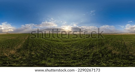 360 hdri panorama view among fields with sunset sky in golden hour in countryside with tractor tires in equirectangular seamless spherical projection.  use like sky replacement for drone shots