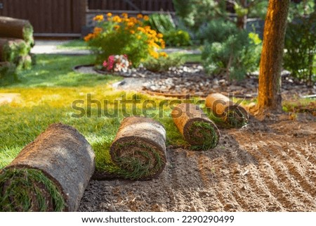 Stack of turf grass for lawn. roll of sod, turf grass roll. Royalty-Free Stock Photo #2290290499