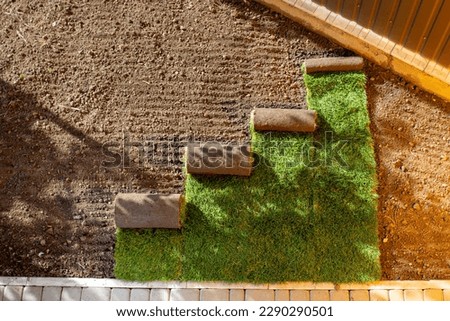 Stack of turf grass for lawn. roll of sod, turf grass roll. Royalty-Free Stock Photo #2290290501