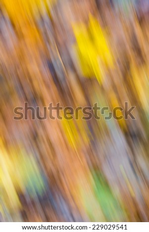 blurry abstraction with fallen autumnal leaves