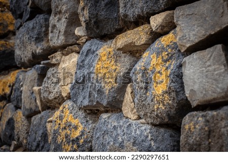 Close up yellow lichen cover the rough stone wall concept photo. Show with macro view. Rocks full of the moss texture in nature for wallpaper.